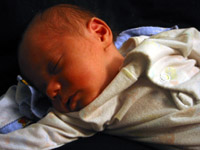 Eliot and grandpa in the tulips